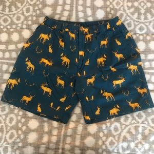 Chubbies 7 in Shorts